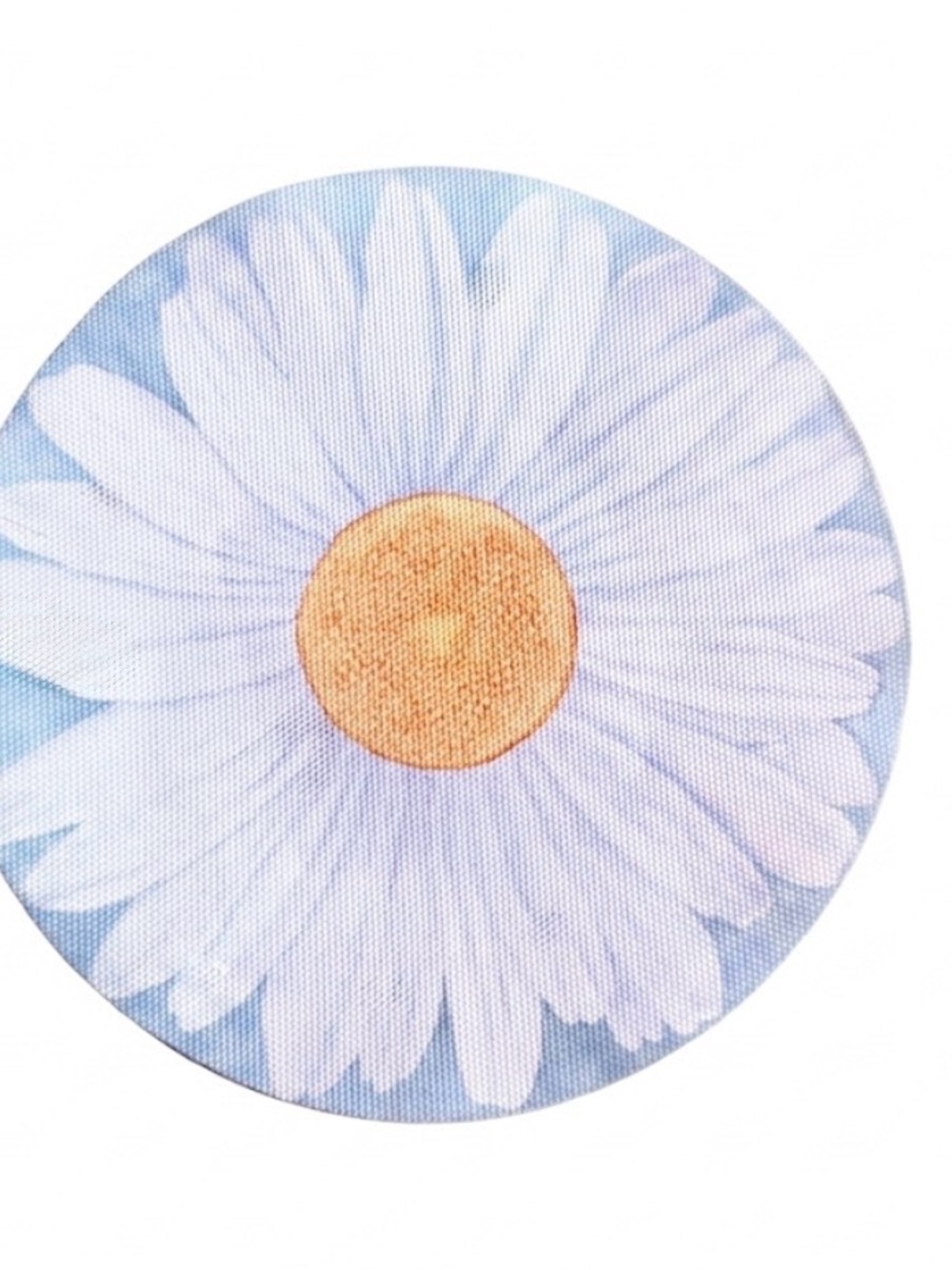Sunny Daisy Placemats Set of 4